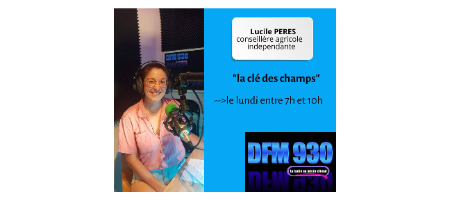 Capture d’écran 2022-09-11 225240.png