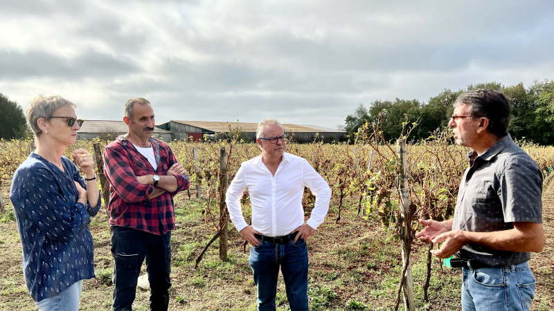Philippe Dupouy au plus près des viticulteurs sinistrés par les orages de grêle