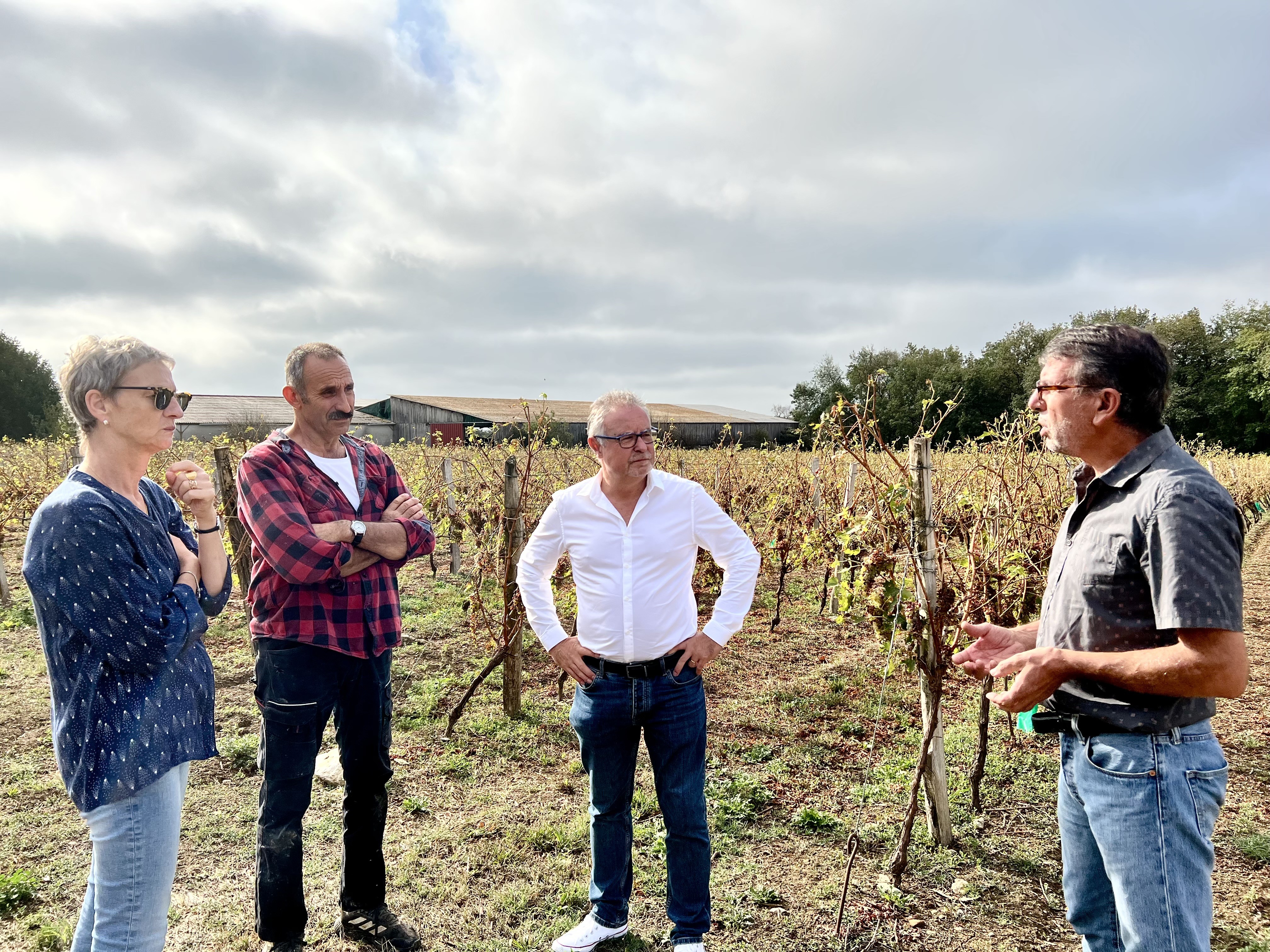 Philippe Larrey rend compte qu'il a perdu 15 ha de vignes