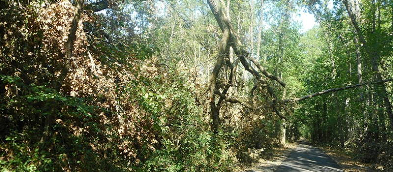Voie verte de l’Armagnac: