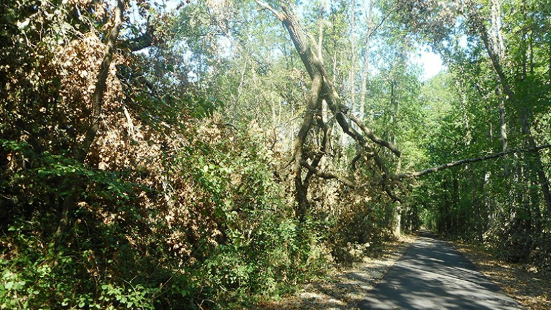 Voie verte de l’Armagnac: