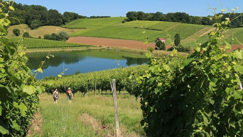 Randonnée VTT  et marche
