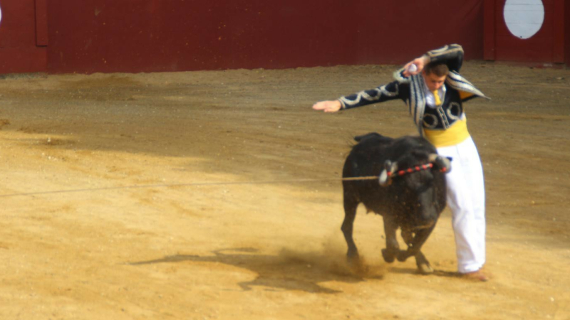Une course landaise  très satisfaisante