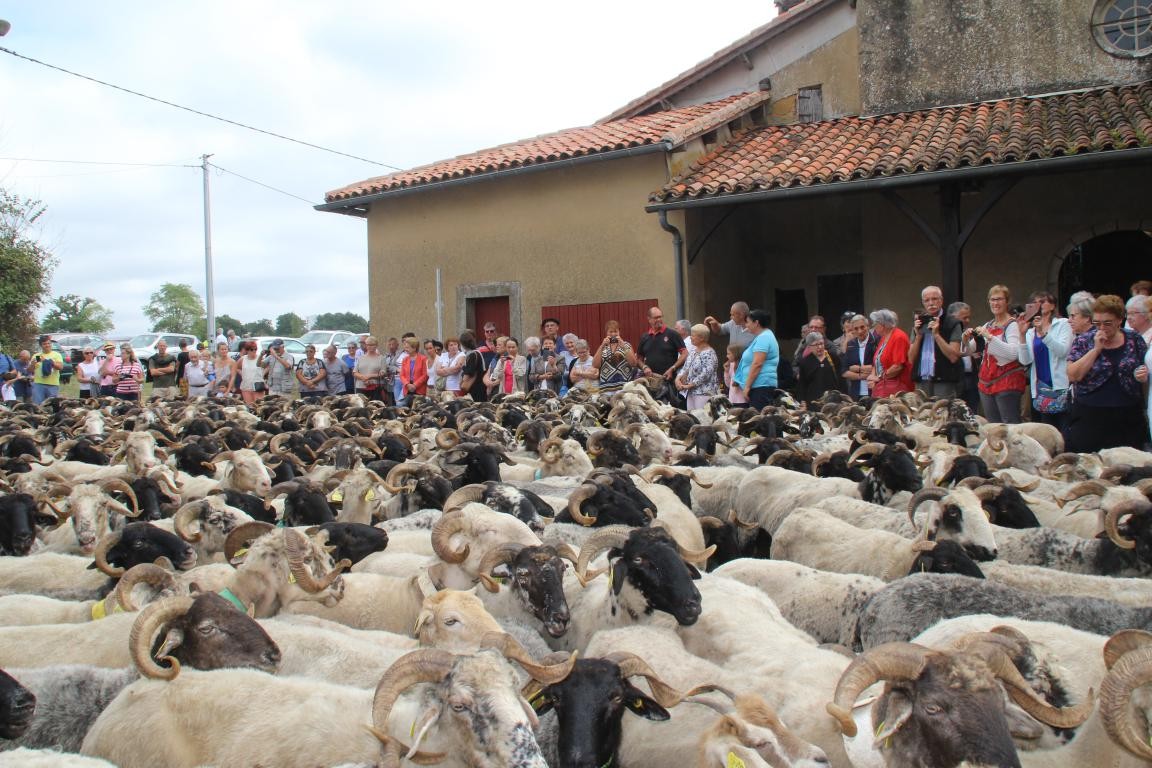 Pur les repa,  contacter avant jeudi 15 septembre