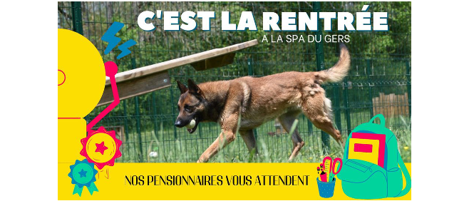 Capture d’écran 2022-09-12 231157.png