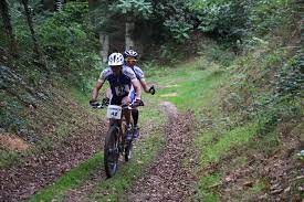 vtt.jpg