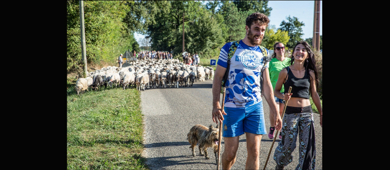 Fête de la vie paysanne d'antan et de la transhumance au Musée de Toujouse