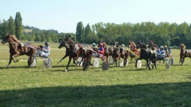 Annulation des courses hippiques