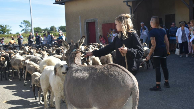 La route de la transhumance est passée