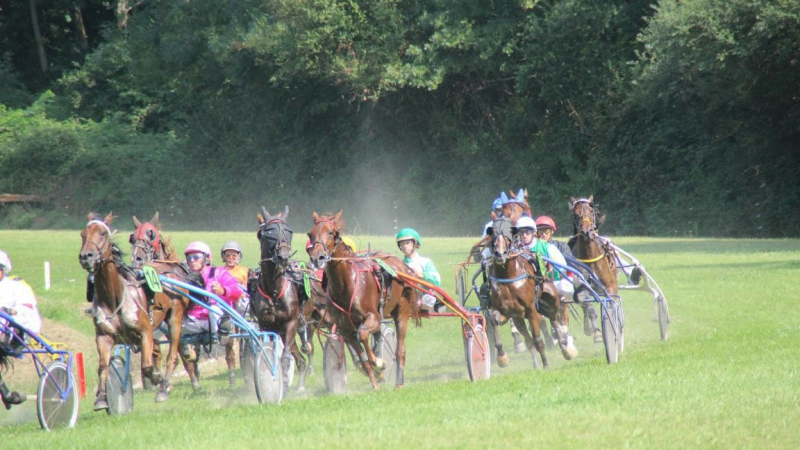 Les animations et les sorties
