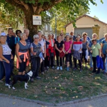 france alzheimer mirande arbre.JPG