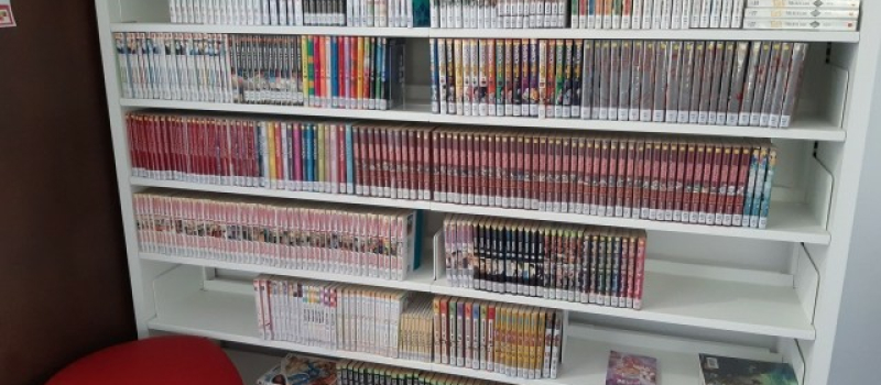 L'année Manga a commencé à la Médiathèque !