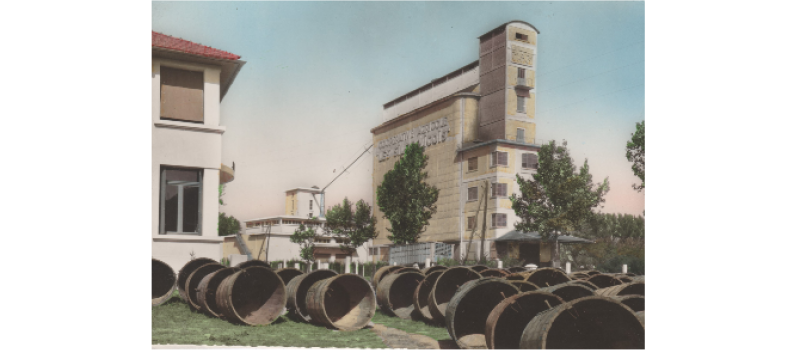 La cave coopérative vinicole a vécu...