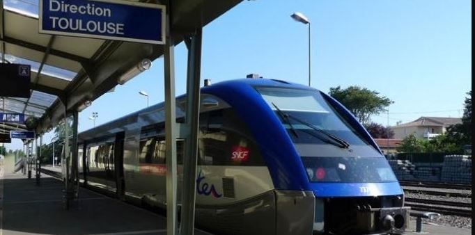 TRAIN LIO.JPG
