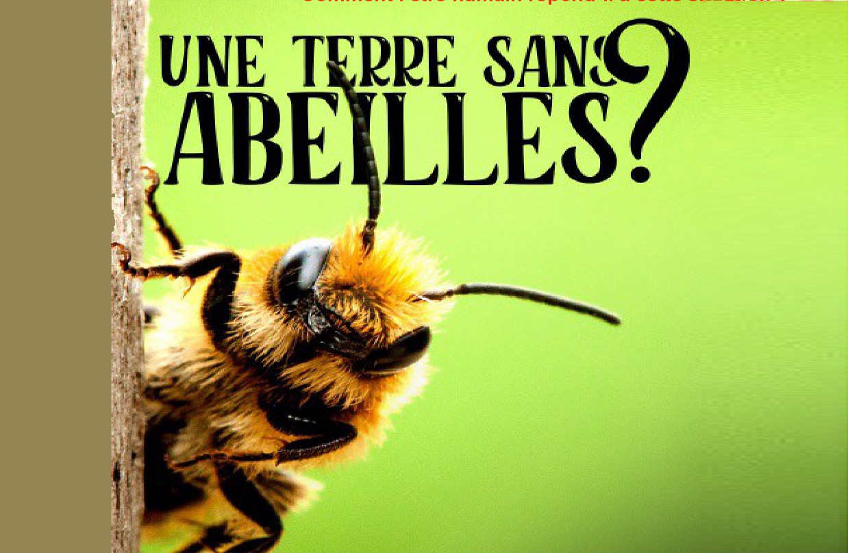 abeille.jpg