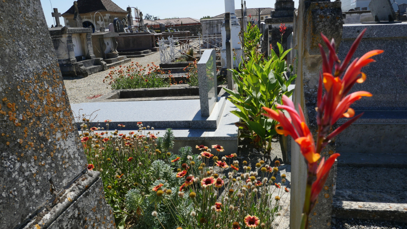 Le cimetière centre de Fleurance se végétalise pour une gestion plus écologique