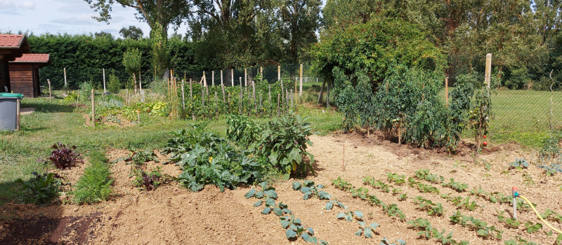 Comment gérer l'eau dans les potagers et les vergers?