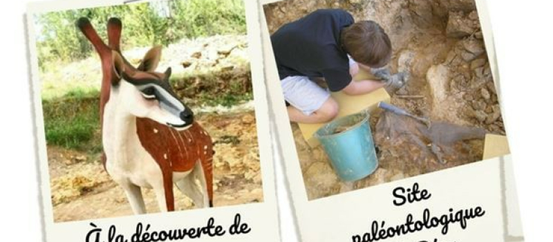 A la découverte d'un autre monde