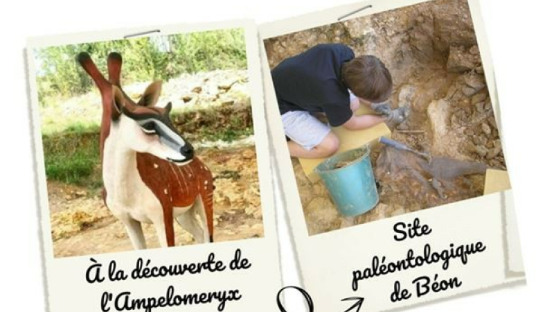 A la découverte d'un autre monde