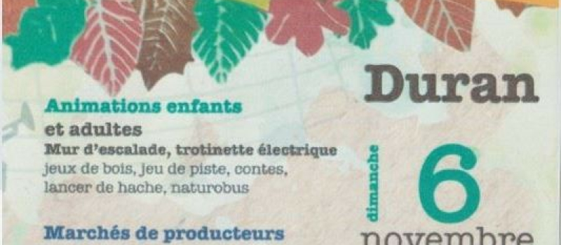 La Fête de l'Arbre : un événement qui se précise