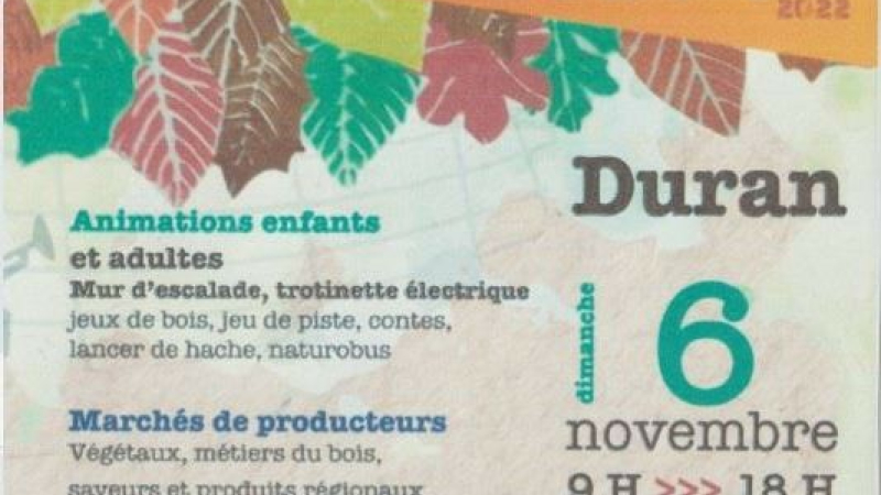 La Fête de l'Arbre : un événement qui se précise