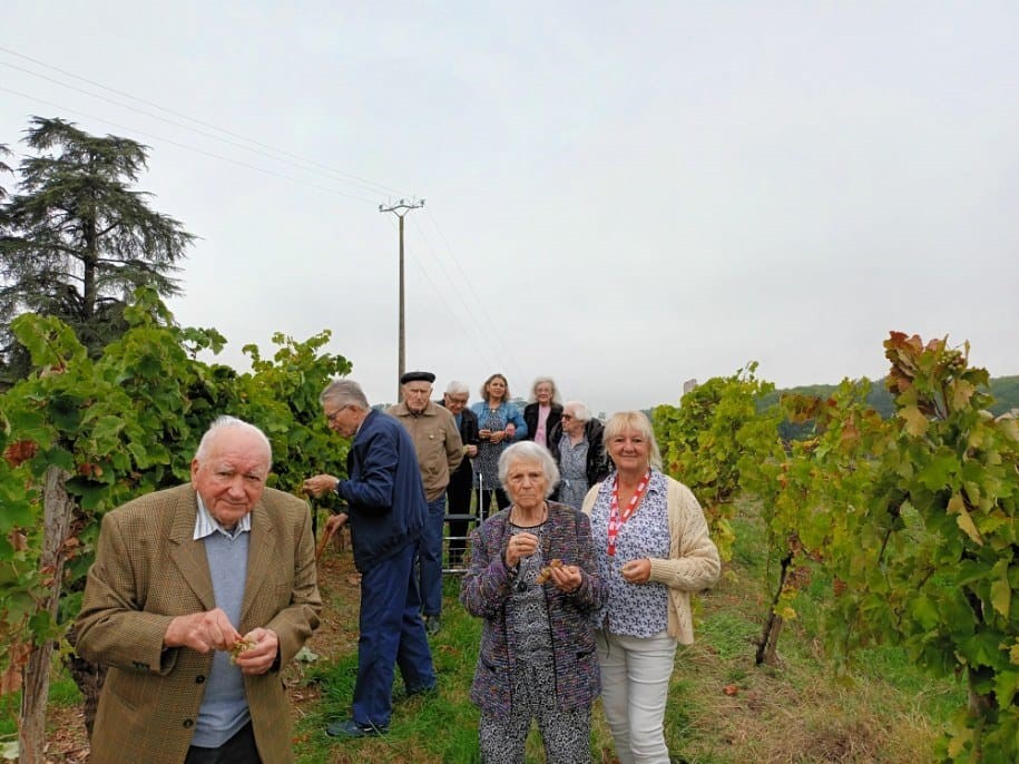 ehpad vigne.jpg