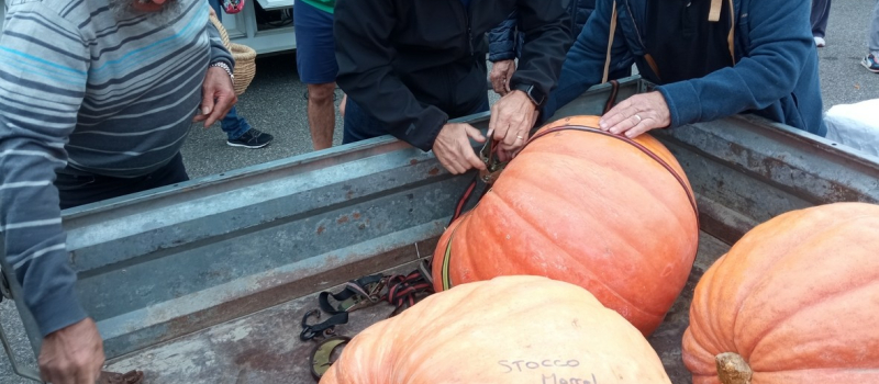 Le beau succés de la fête de la citrouille