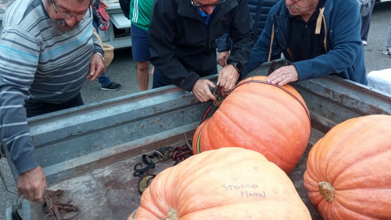 Le beau succés de la fête de la citrouille