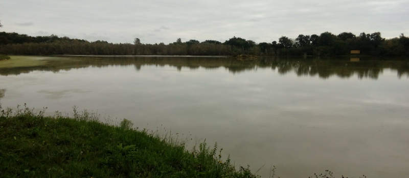 Balade "Eveil des sens" au lac du Moura à Espas par le collectif Oasis et Vic Accueil