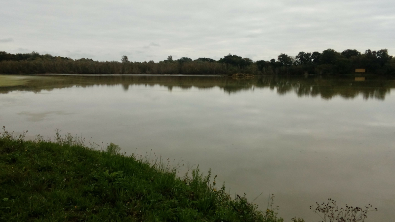 Balade "Eveil des sens" au lac du Moura à Espas par le collectif Oasis et Vic Accueil