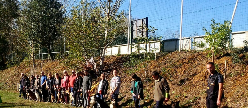 Samedi,  le club d'éducation canine à la foire de la Saint-Martin