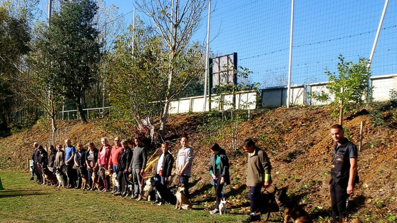 Samedi,  le club d'éducation canine à la foire de la Saint-Martin