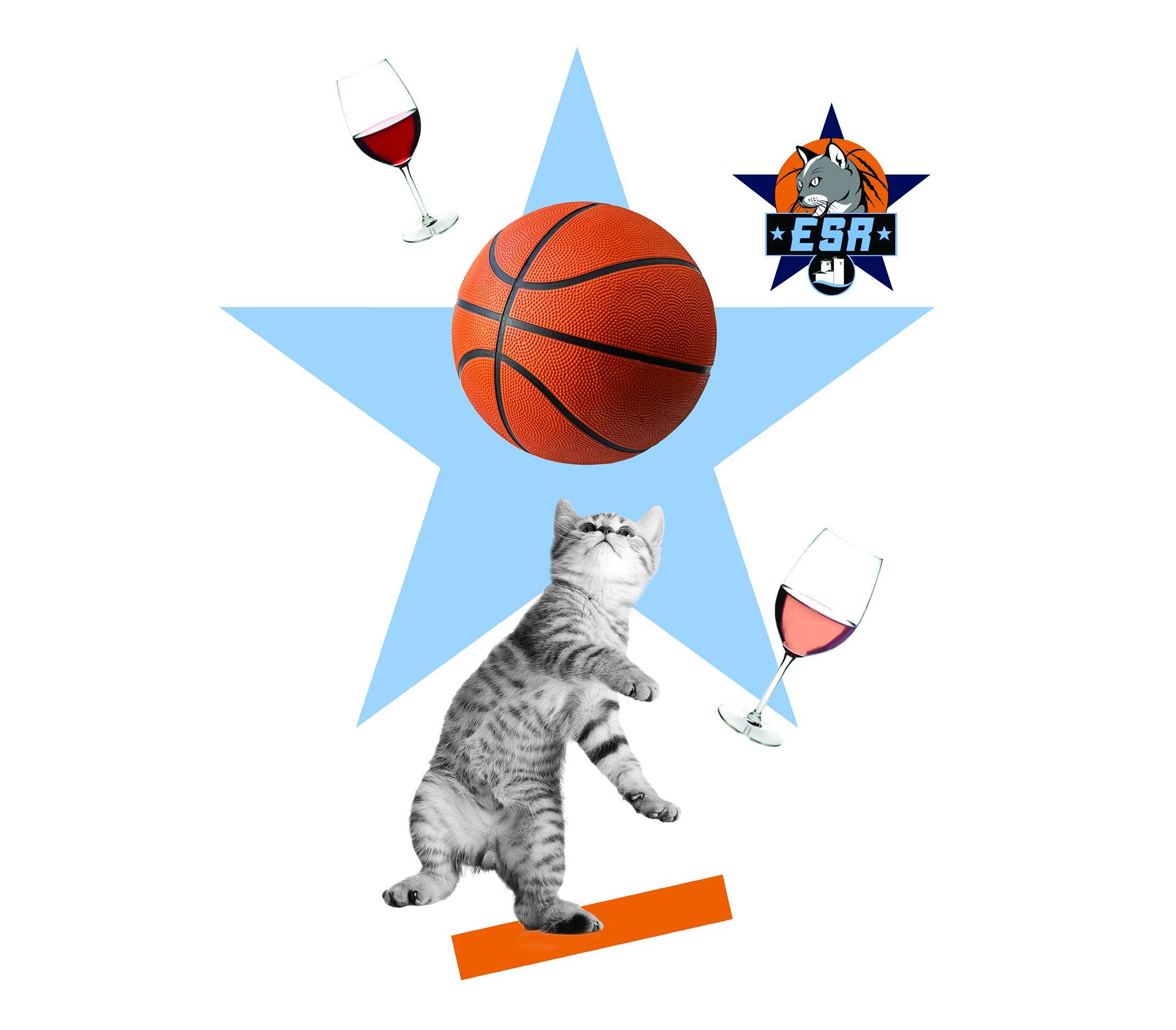 A3_BASKET4.jpg