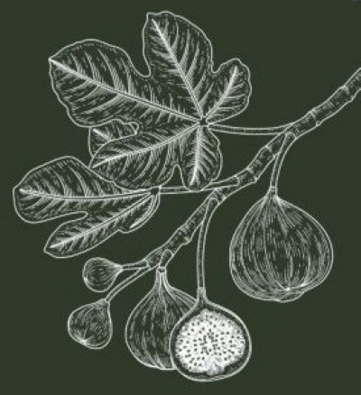 Affiche-Marche-aux-plantes-1024x1024 3.jpg