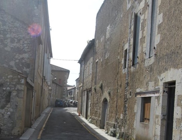 image (3).jpg