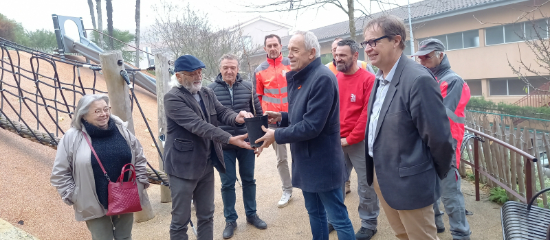"Auch fête le Japon", un ginkgo biloba planté au jardin du square Cuzin