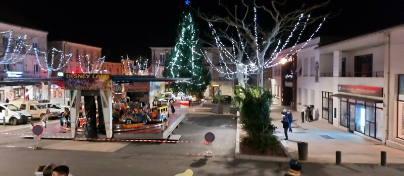 Lancement du week-end de Noël par l'illumination du sapin