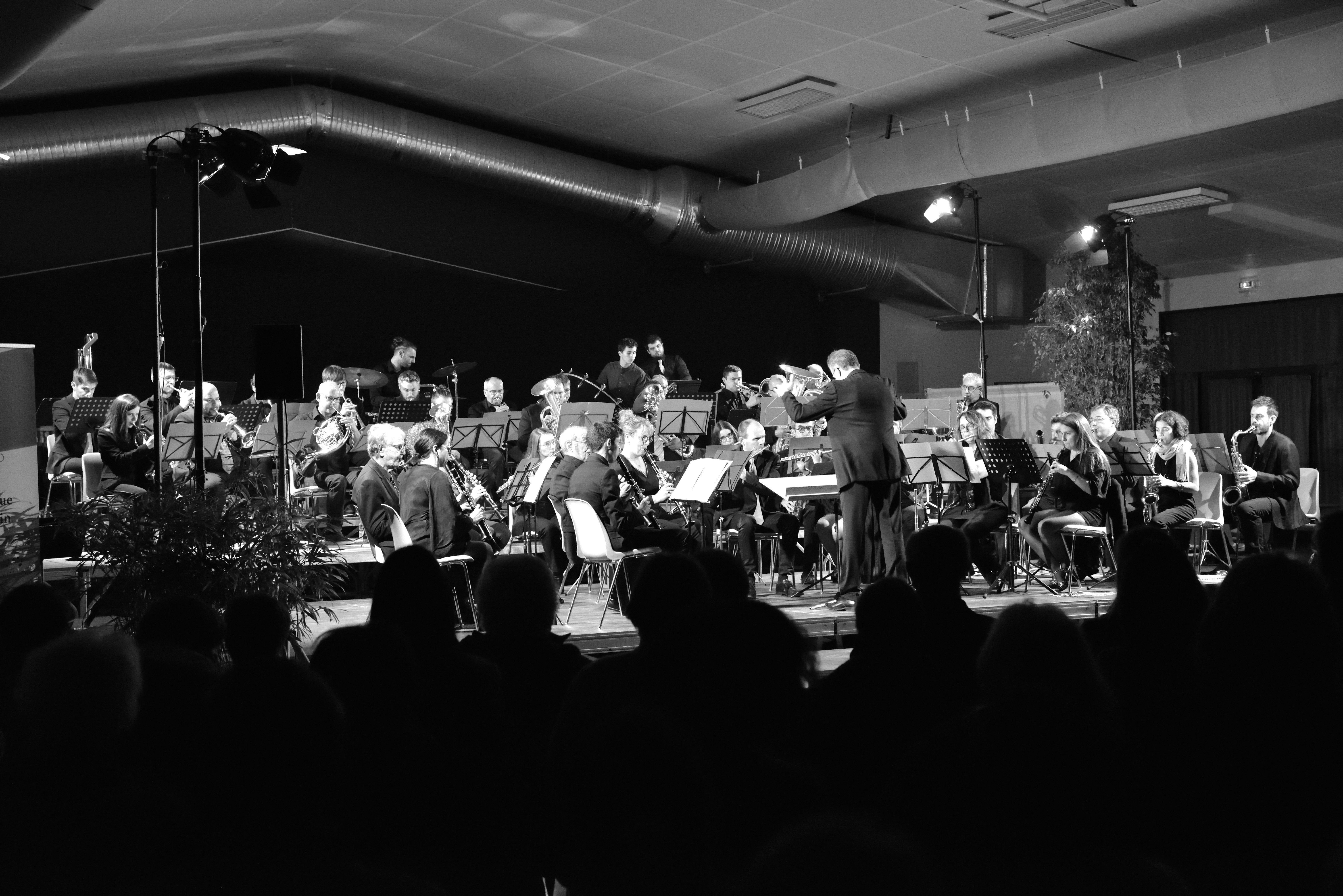 Nov22-Ste Cecile orchestre philharmonie.JPG