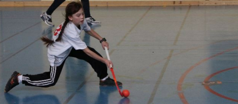 Hockey Club Auch, retour en salle avec une belle saison en perspective