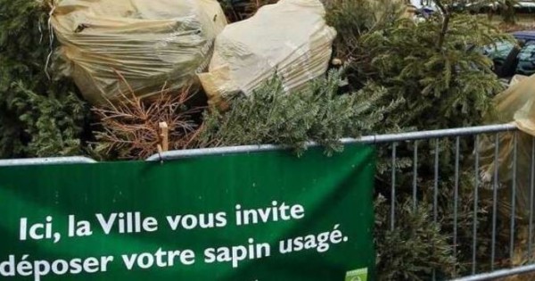 Prévention Des Déchets Une Seconde Vie Pour Les Sapins De Noël Le