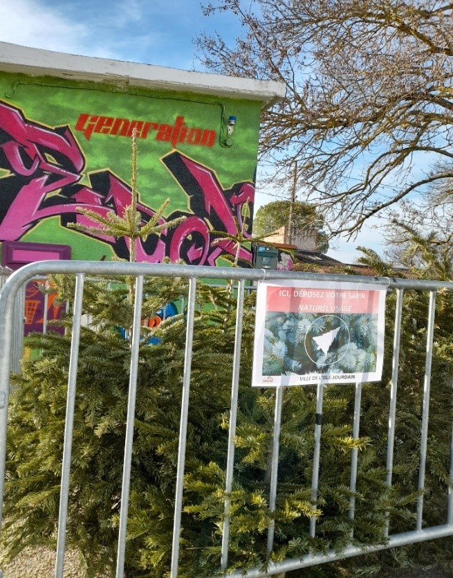 aire sapins(2).jpg