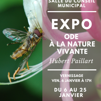 Expo-Paillart-nature.png