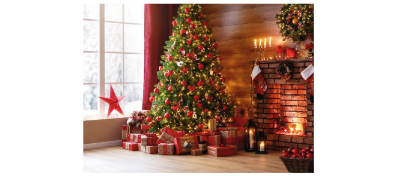 La seconde vie de vos sapins de Noël  !