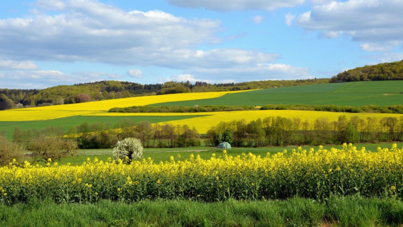 La Région apporte des aides pour soutenir bio et transition agroécologique