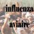 Influenza aviaire, un onzième foyer confirmé dans le Gers