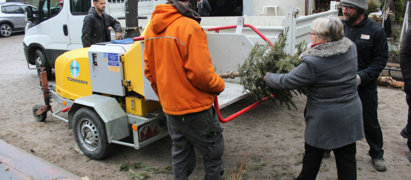 La seconde vie pour votre sapin de noël