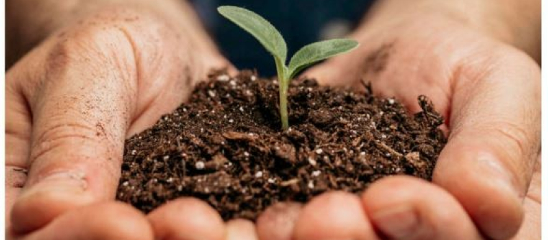 Une journéeautour de l’alimentation durable