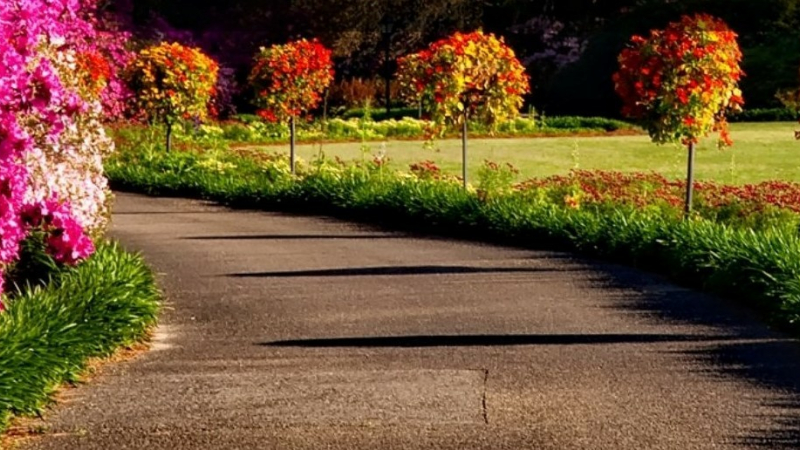 Cérémonie de remise des prix du concours "Maisons et jardins fleuris"