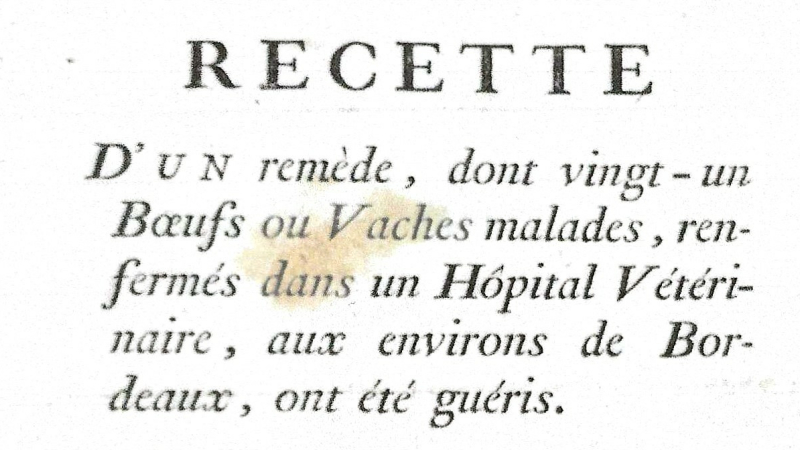 Réunion mensuelle de la Société Archéologique.