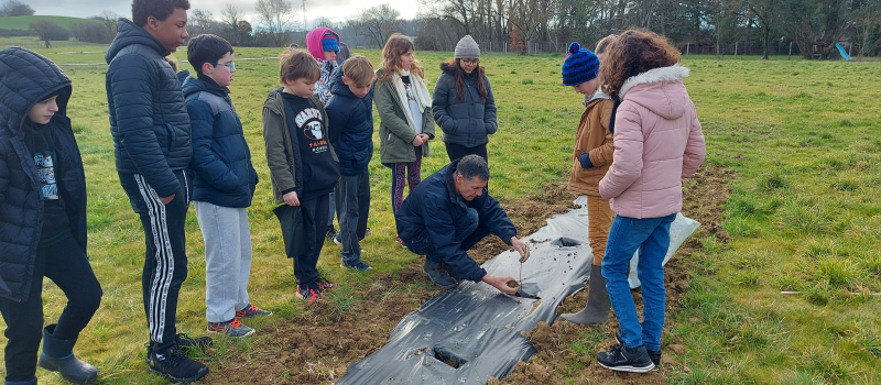 A Cauderon, les collégiens plantent des haies !